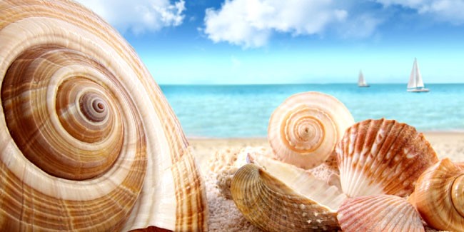 Академічний ліцей «Спектр»