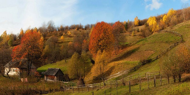 Академічний ліцей «Спектр»